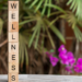 Wellness